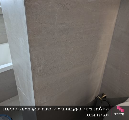 תמונה של שירותים עם קיר אריחים ודלי צבע
